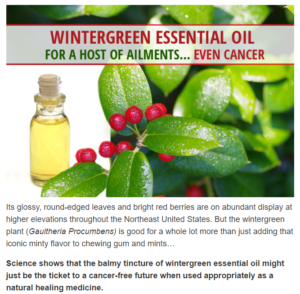 Wintergreen as cancer cure