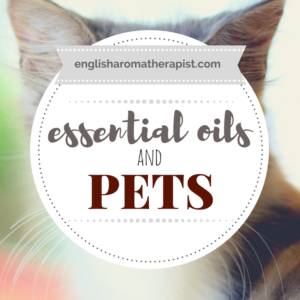 Essential oils and pets