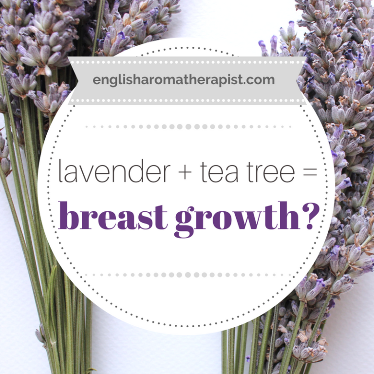 Lavender + Tea Tree Oil = Breasts? The English Aromatherapist