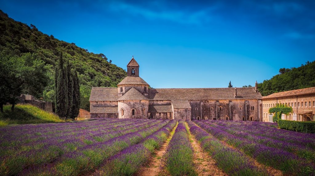 What is the French School of Aromatherapy